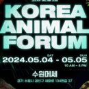 렙타일코리아 이미지