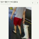 네네치킨피자 이미지
