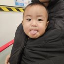 고분로13번길 5-20~반송로 18 | 11월 일상