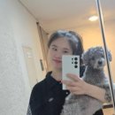 썸데이제로 이미지