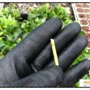 녹지농장 이미지