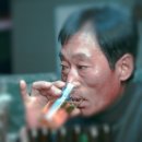 나인벨 이미지