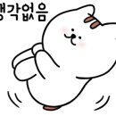 중앙당안경