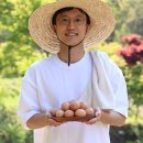 아늠달걀 | 난각 1번 아늠달걀, 동물복지 방목유정란 직접 먹어본 후기