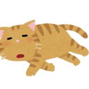 서부복싱 이미지