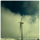 우산목장 이미지