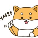 종각건강생활 이미지