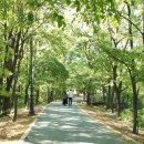 연세나을병원 이미지