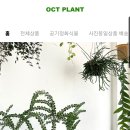 악토플랜트