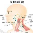 시솔 이미지