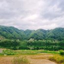 리버스케치 이미지