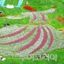 꽃길따라
