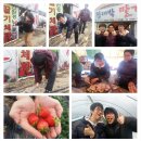 왕대박랜드 티스토리