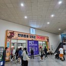 건펫 | 2024 서울펫쇼 다녀왔읍니다