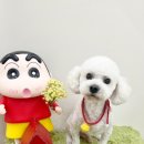 허그몽 이미지