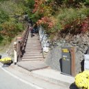 2025.12.21(일).봉화군 ▲청량산 (제347회) 이미지