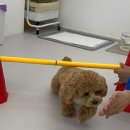 프릿토핏 이미지