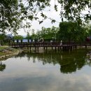 곡성-166 티스토리
