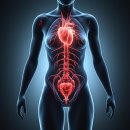 아낌없이주는나무한의원 이미지