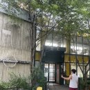먼마루 벚꽃거리 문 | 청주 수암골 풀문카페 세계최초 치즈빙수 솔직 후기
