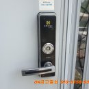 여주열쇠 이미지