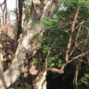 거문민박 이미지