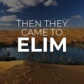 엘림(Elim) 이미지