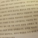 스테이모모