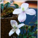 계양아트갤러리 이미지