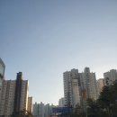 장기동 모아미래도엘가 아파트 부근 도로 | 김포 임장 후기 (2020/10/24)