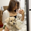 찬주자원 | 제주도 일년살기) 제주 도착