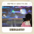 히든트릭박물관(휴관) | 영월 아이와 가볼만한곳 영월동굴생태관 강원도 고씨굴 여행코스 무료입장 꿀팁 실내 동굴박물관 기념품