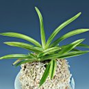 서반농장 이미지