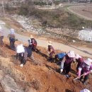 내탐마을 이미지