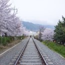 CU 경화점 이미지