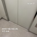 시험관 1차일기 - 3 드디어 두줄을 보았으나,,? 자궁외 임신각인가 과연…