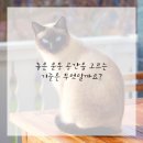 찐공간 이미지