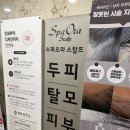 세종 홍조관리 고민 해결! 스파오라스칼프 세종나성점 더마지 관리 리얼후기