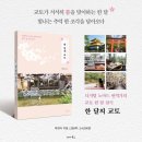 호린번역
