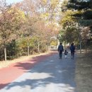 늘솔길공원1 이미지