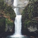 시애틀공원 이미지