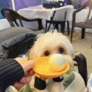 고봉로22길 네이버블로그
