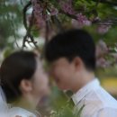 섬노을카페 | 섬스튜디오 디아 : 야외 노을 촬영씬 후기