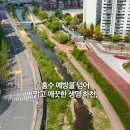 율곡천 7 이미지