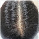 유지도트 이미지