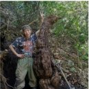 산인-6 이미지