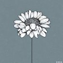 중앙정형외과 이미지