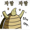 주디헤어 네이버블로그
