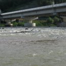 새천년생명의숲 이미지