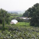 유화 중급 이미지